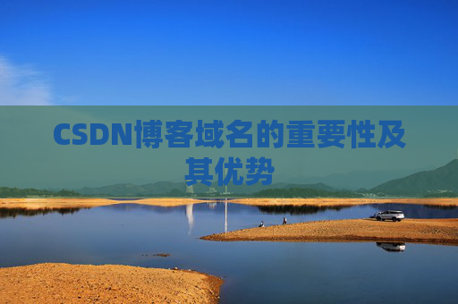 CSDN博客域名的重要性及其优势